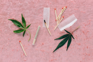Kratom versus Cannabis Items: What's the Distinction?